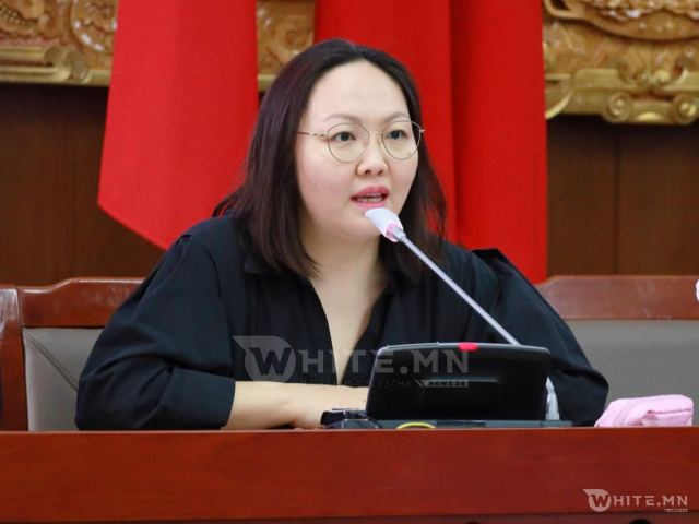 УИХ-ЫН ГИШҮҮН Б.ЖАРГАЛАН: АН-ЫН БҮЛГИЙН ДАРГЫН СОНГУУЛЬ ЯВАГДААГҮЙ, АСУУДЛЫГ ИРЭХ ДОЛОО ХОНОГТ ШИЙДНЭ