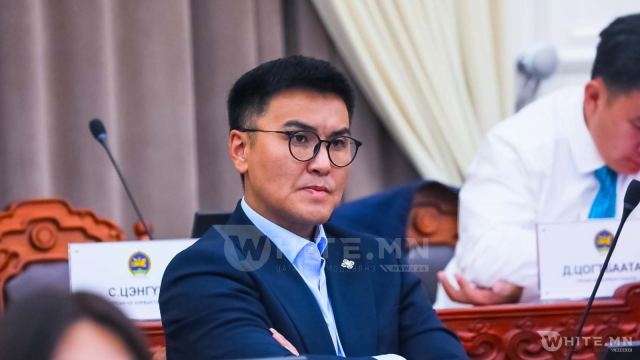 УИХ-ЫН ГИШҮҮН Ч.ЛОДОЙСАМБУУ: Яг энэ Засгийн газрын сайд нар шиг ийм онгироо, хамжааргагүй сайд нар өмнө нь харж байсангүй
